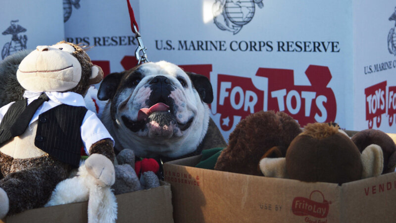 Bergen County Toys for Tots - Gallery Photo 9